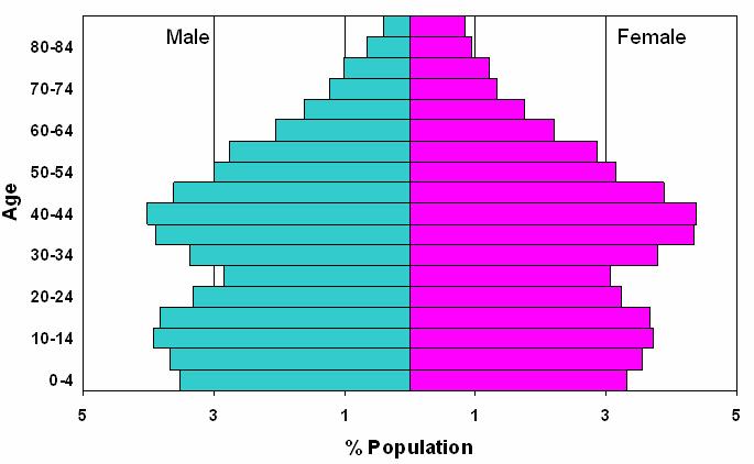 11 Age Structure of the Population by Ethnicity Figure 12 shows the age structure of the population in the WDHB region.