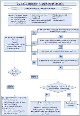 Infection prevention and control measures and tools to prevent entry of carbapenem-resistant Enterobacteriaceae (CRE) into healthcare settings: ECDC guidance Core measures Profile for at risk