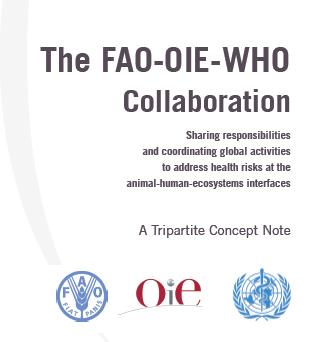 international initiatives One Health Initiative London declaration on neglected tropical diseases Stepwise approach for rabies prevention and control (FAO): towards Rabies Elimination Joint FAO, OIE
