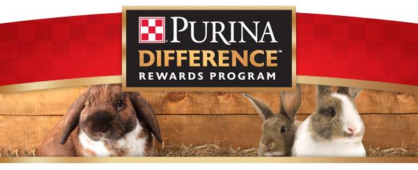 Newsletter June 2012 A publication brought to you by Purina Mills, LLC FEATURED STORY: Brook Creager: A Rabbit Race to the Top Just three years ago, Brook Creager and his family became actively