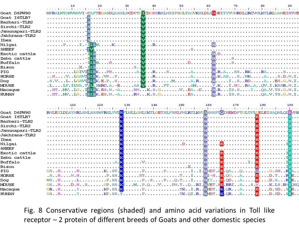 Differential Expression of Toll-like receptors (TLR-2, 4 and 9) in natural caprine brucellosis by using real time RT-PCR assay The differential expression of Toll-like receptors (TLR 2, 4 & 9) was
