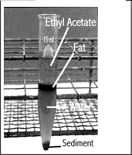 ETHYL ACETATE SEDIMENTATION METHOD Laboratory 1 Pg. 10 1. Pass a grape-sized piece of feces through a sieve into about 9 ml of water and pour into a 15 ml centrifuge tube.