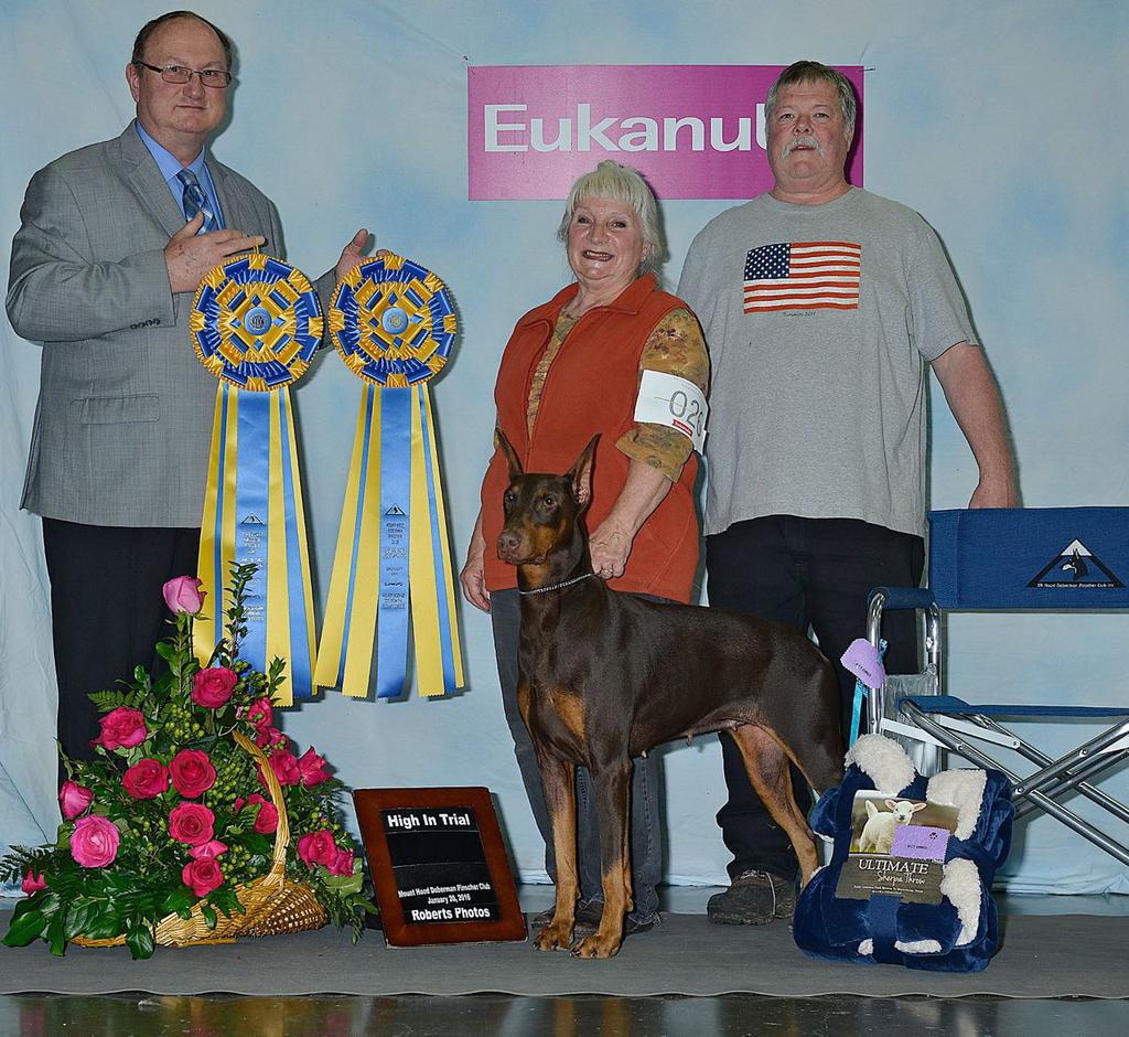 Obedience Two High in Trials Rogue River Mandolin Wind Owned by Susan & Scott Lyter Bred by Susan