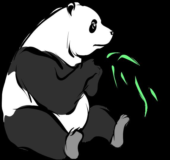 giant panda ST