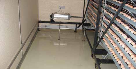 Tip 12 Keep Setter Floors Dry Wet setter floors are often seen in hatcheries. Staff do not usually pay much attention, and often think they are unavoidable.