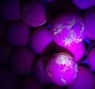 A UV flashlight can be used to identify: Washed eggs Sprayed eggs Wiped eggs Scraped/physically cleaned eggs Dirty/floor eggs Using a UV light is very easy.