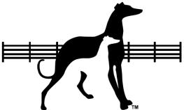 Greyhound Pets of America/Lexington, KY Adoption/Foster Application Thank you for your interest in adopting or fostering a retired racing Greyhound.