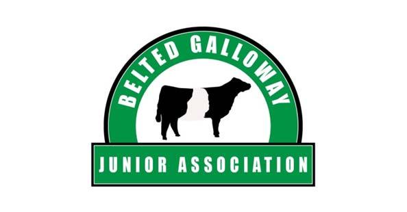 Belted Galloway Junior Association Artificial Insemination Project The BGJA AI Project was founded in 2002 to provide junior members the ability to obtain quality genetics for their breeding program.