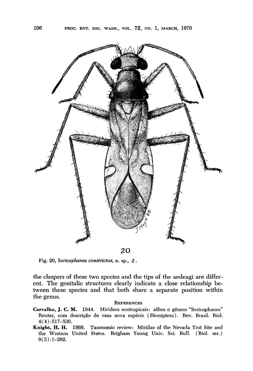 106 PROC. ENT. SOC. WASH., VOL. 72, NO. 1, MAIRCH, 1970 20 Fig. 20, Sericophanes constrictus, n. sp., S. the claspers of these two species and the tips of the aedeagi are different.