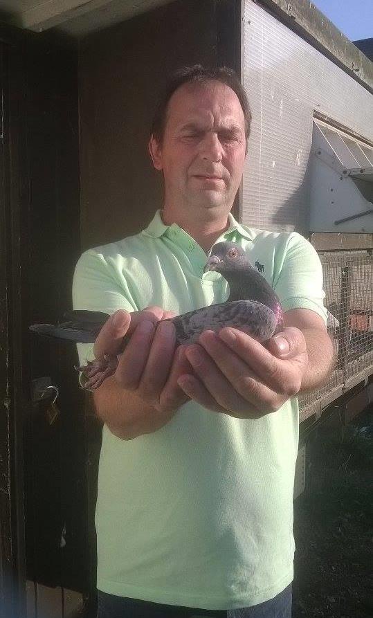 pigeon Award with the MNFC which Frank got from Rob Lotts of Lincolnshire.