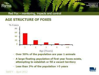 Alan discussed the seasonal breeding and development of foxes.