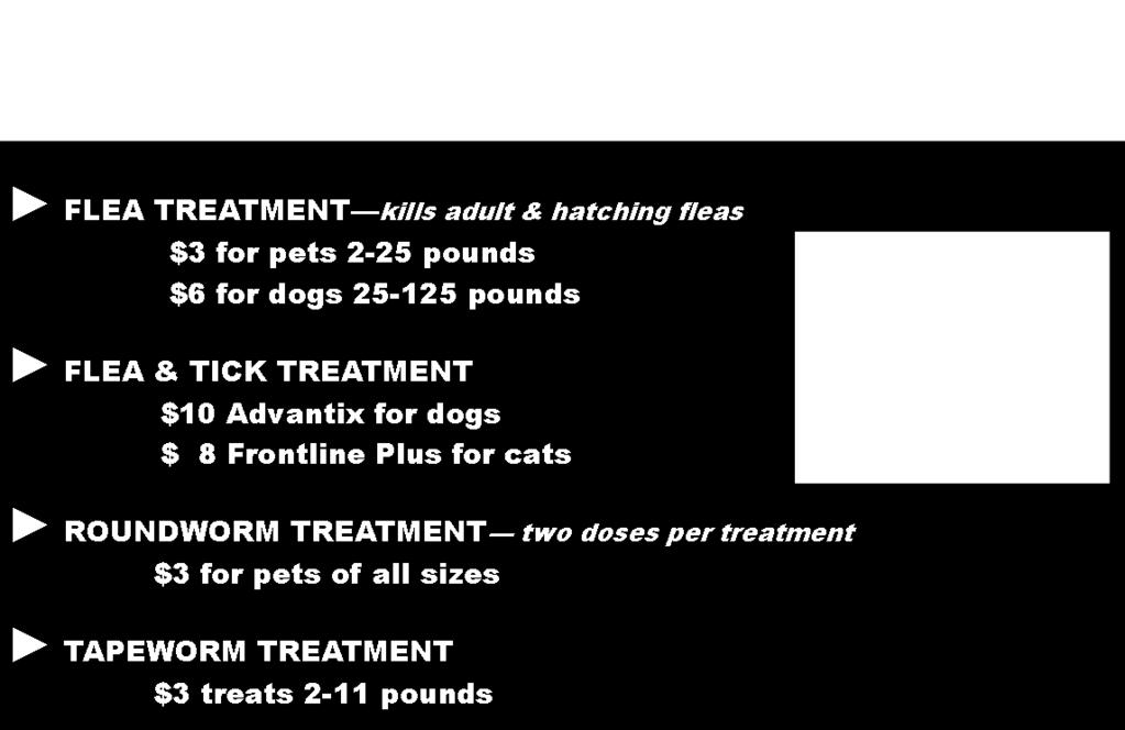 Our Stay Healthy Wellness project provides flea, tick, and worm treatments to nearly 1 of every 3 Haywood County pet owners.