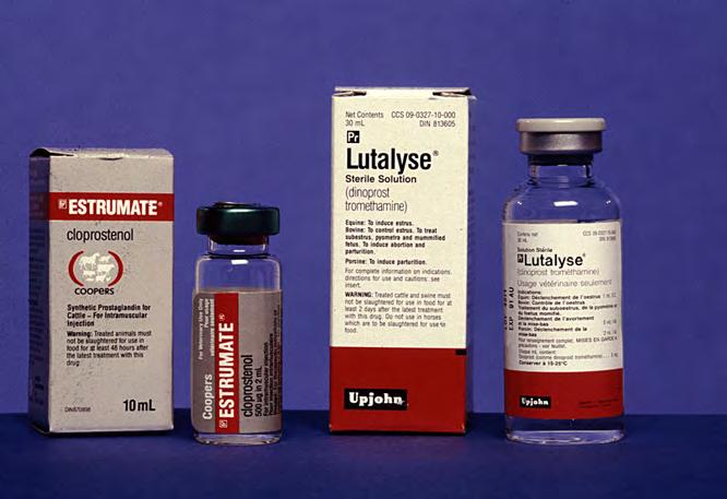 luteolytic only after Day 12 of the cycle P Altrenogest