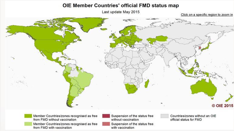 FMD in the world Source: OIE