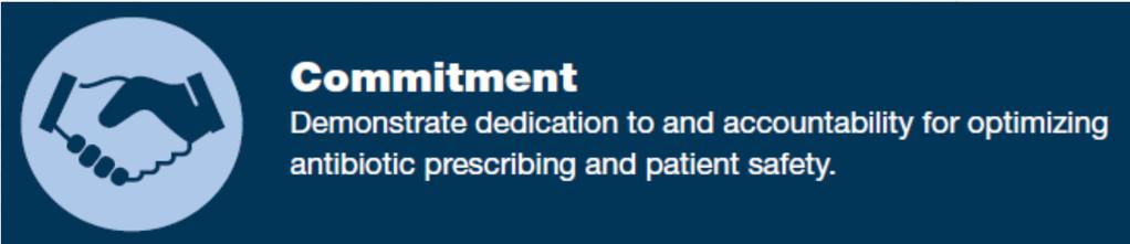 CORE ELEMENTS Public commitments to support antibiotic stewardship Identify a stewardship leader Include stewardship duties as part of job responsibilities Use consistent patient
