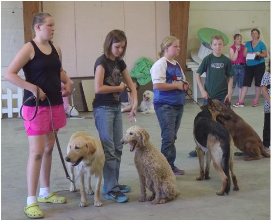 WRIGHT COUNTY 4 H 2017 Dog Project Information Obedience Showmanship Rally Agility DOG IDENTIFICATION AFFIDAVITS Due May 15, 2017 All dogs participating in the 4-H dog program must be up to date on