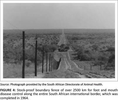FMD fence along the international borderline 1960s.