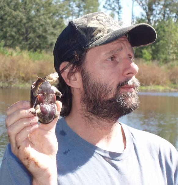 , and C. Qualls. 2008. The impacts of Hurricane Katrina on a population of Yellow-blotched Sawbacks (Graptemys flavimaculata) in the Lower Pascagoula River.