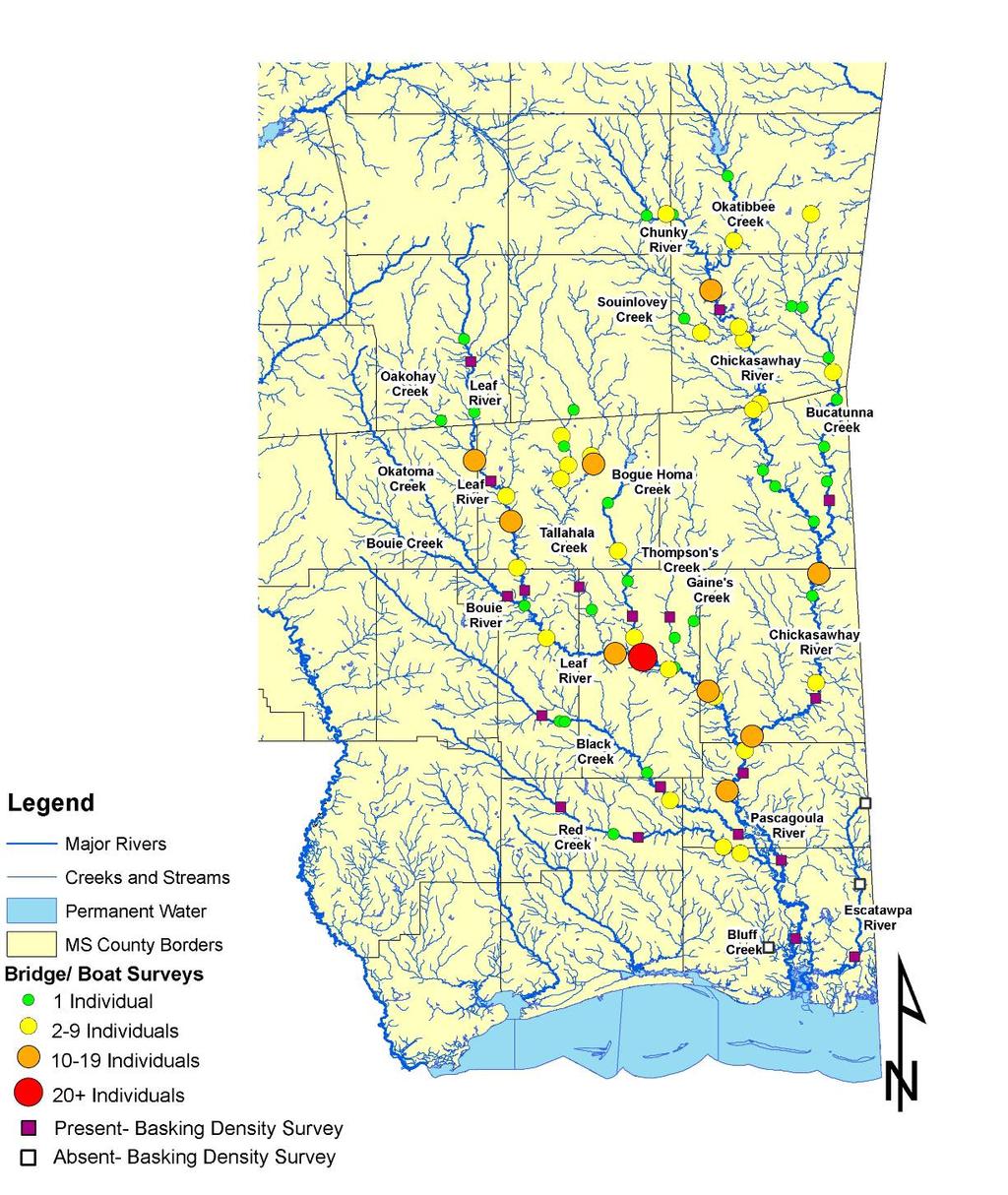 Herpetological Conservation and Biology FIGURE 3. Bridge and basking density survey results for Graptemys gibbonsi within the Pascagoula River system, Mississippi, USA, 2006 2008.