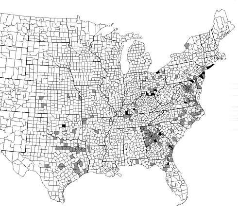 Amblyomma americanum Geographic Distribution and Genetic Diversity of the Ehrlichia sp. from Panola Mountain in Amblyomma americanum.
