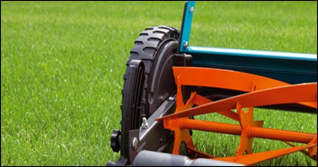 Until the 1830s, there was no mechanical mower. As late as 1910, the White House lawn was mowed by what? Sheep! Lawns were not popular until the small gasoline powered lawn mower made its debut.