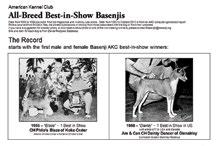 Why are Basenjis barkless: Self-Graded Quiz How to find a Basenji How to Find A Basenji: Quiz 1 and Quiz 2 Making your home safe and a Basenji shopping list Preparing to bring your Basenji home: