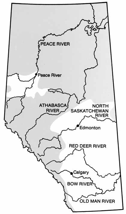 18 Family Canidae Dogs Wolf Wolves (Canis lupus) range throughout northern and western Alberta (Figure 32).
