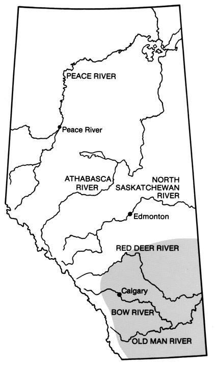 30 Figure 52. These ducks were bitten on the neck and back, and the entrails were eaten by a racoon. Figure unavailable in this digital version. Figure 51. Racoon distribution in Alberta.