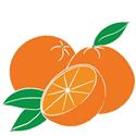 Day s class visited an orange grove. The class noticed that the trees all had the same amount of oranges on them. There were 9 oranges on each tree. There were 25 trees.