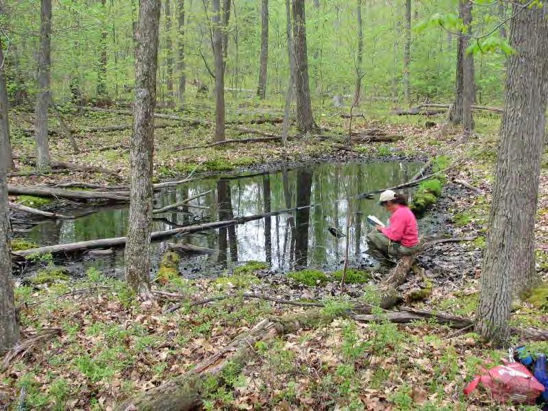 Share Your Vernal Pool with Us!