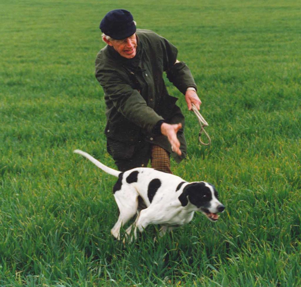 What will happen on a WGC day for dogs that point 3.3 The assessment may be run at a specifically arranged WGC day or in conjunction with a pointing breeds training day. 3.4The presence of live game is essential to assess hunting, locating, pointing and steadiness.