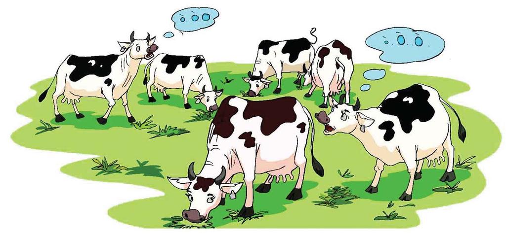 Chapter : Heat Changes in behavior Frequency of heat 0 Chapter : Heat Observation of changes in behavior 5 Dairy cows in heat show signs of seeking or following bulls or other cows.