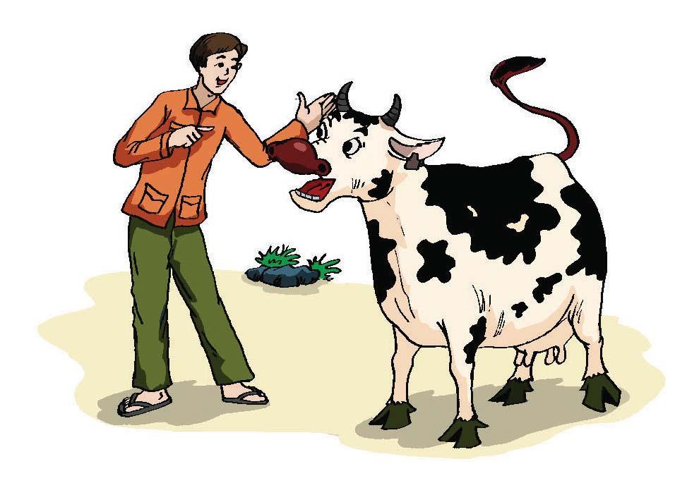 Chapter 3: Artificial Insemination Cow s conditions - Reproductive diseases - Hormonal disorder - Obstructed oviducts -