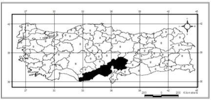 So, Turkish Red List category of the species is LC. Range: SE Europe, Turkey, Cyprus. Chorotype: Turano-Mediterranean (Balkano-Anatolian) SPECIES M.