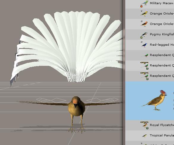 Select and apply the appropriate Character/Material pose setting for the bird you re