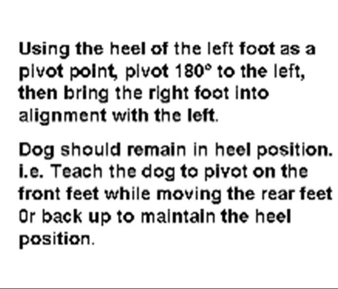 The dog moves simultaneously with the handler and sits in heel position at the second halt.