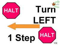 other foot, then halts OR The handler and dog HALT, turn left then take one step with the right or left foot and closes with the other foot.