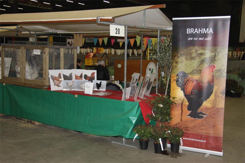 NEWS FROM THE BRAHMA CLUB of the NETHERLANDS Photo: Hub Maar Text: Syb Cornel Photos: Berend Beekhuis, all photos taken at the Gelderland Show The exhibition season 2015 is over so we can all draw