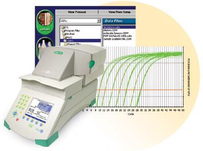 Real time PCR Sensitive detection