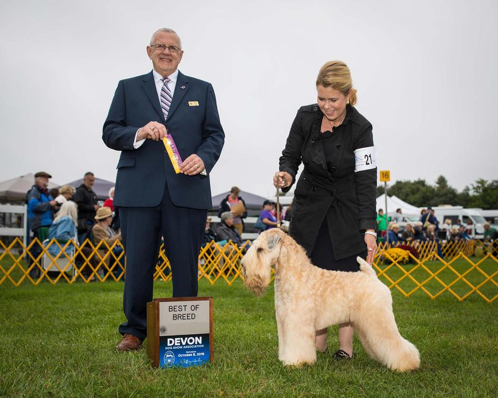 Abby s Postage Dhu O Waterford Casey Award Awarded to the Wheaten who defeated the most Wheatens by going