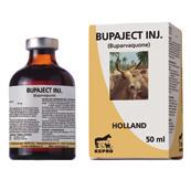 BUPAJECT INJ. Contains per ml: Buparvaquone 50 mg Bupaject Inj. is a clear, ruby-red solution for intramuscular injection and contains buparvaquone as active ingredient.
