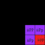 Phenotypic ratios: White (I _) = 12 Purple (i i P_ ) = 3 Red ( i i p p) = 1