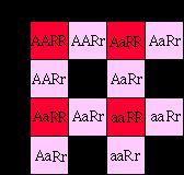 F1 generation will be AaRr, and their phenotype will be axial-pink.