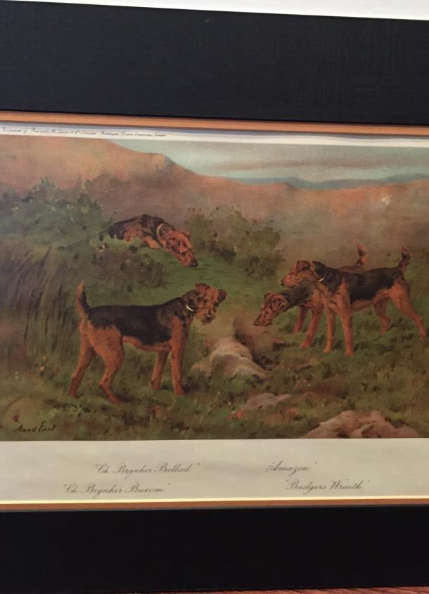 #14. MAUD EARL ILLUSTRATION Opening bid: $40 Maud Alice Earl (1864-1943) was an eminent British-American canine painter.