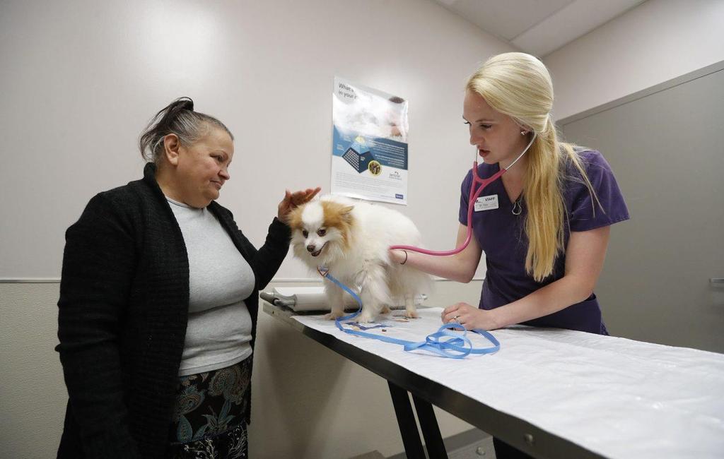 The Buffalo News, May 24, 2018 Dr. Kelly Fox examines Carmen Afanador s Pomeranian in the Lipsey Clinic at the SPCA Serving Erie County in West Seneca.