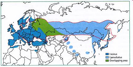 Far-Eastern tick-borne encephalitis Endemic to many parts of Europe and Russia.