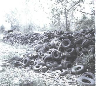 Figure 13. Discarded tires can be a breeding ground too.