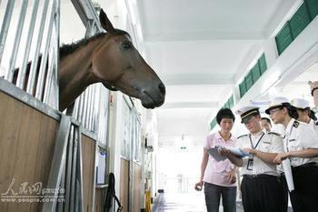 Regulations on Inspection and Quarantine of Entry Horses Law of the People's Republic of China on the Entry and Exit Animal and Plant Quarantine Quarantine and Health