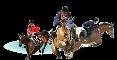 List of Original Countries and Regions of Entry Competition Horses Approved