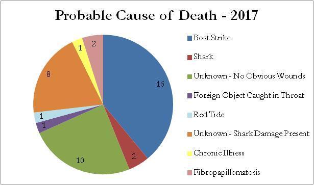 Other probable causes of death documented this year and in recent years include shark attacks, entanglement, fibropapillomatosis, red tide, plastic consumption, and undetermined causes.